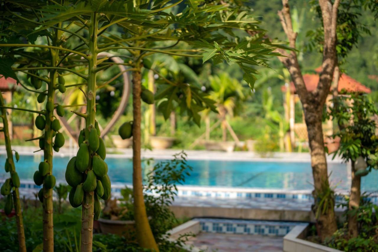 Tan Dinh Farmstay Ninh Binh Dış mekan fotoğraf