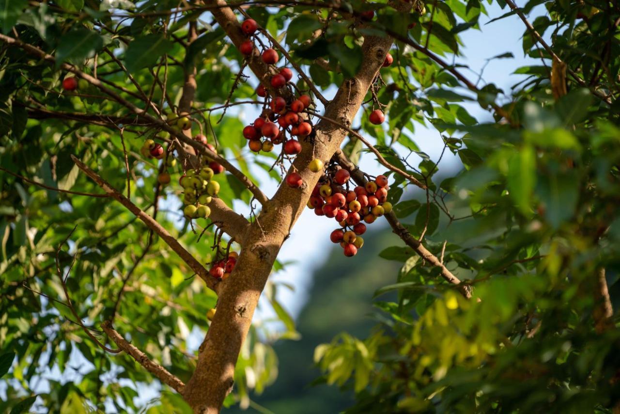 Tan Dinh Farmstay Ninh Binh Dış mekan fotoğraf