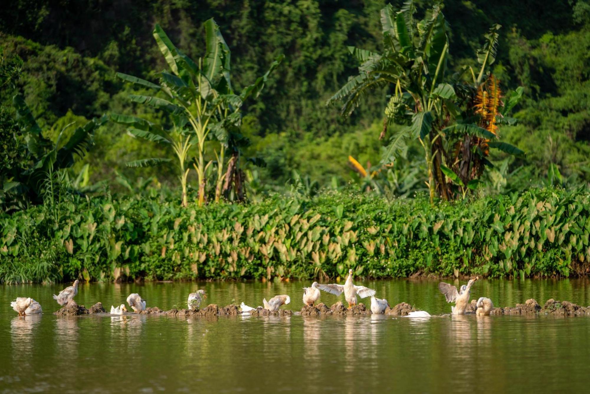 Tan Dinh Farmstay Ninh Binh Dış mekan fotoğraf