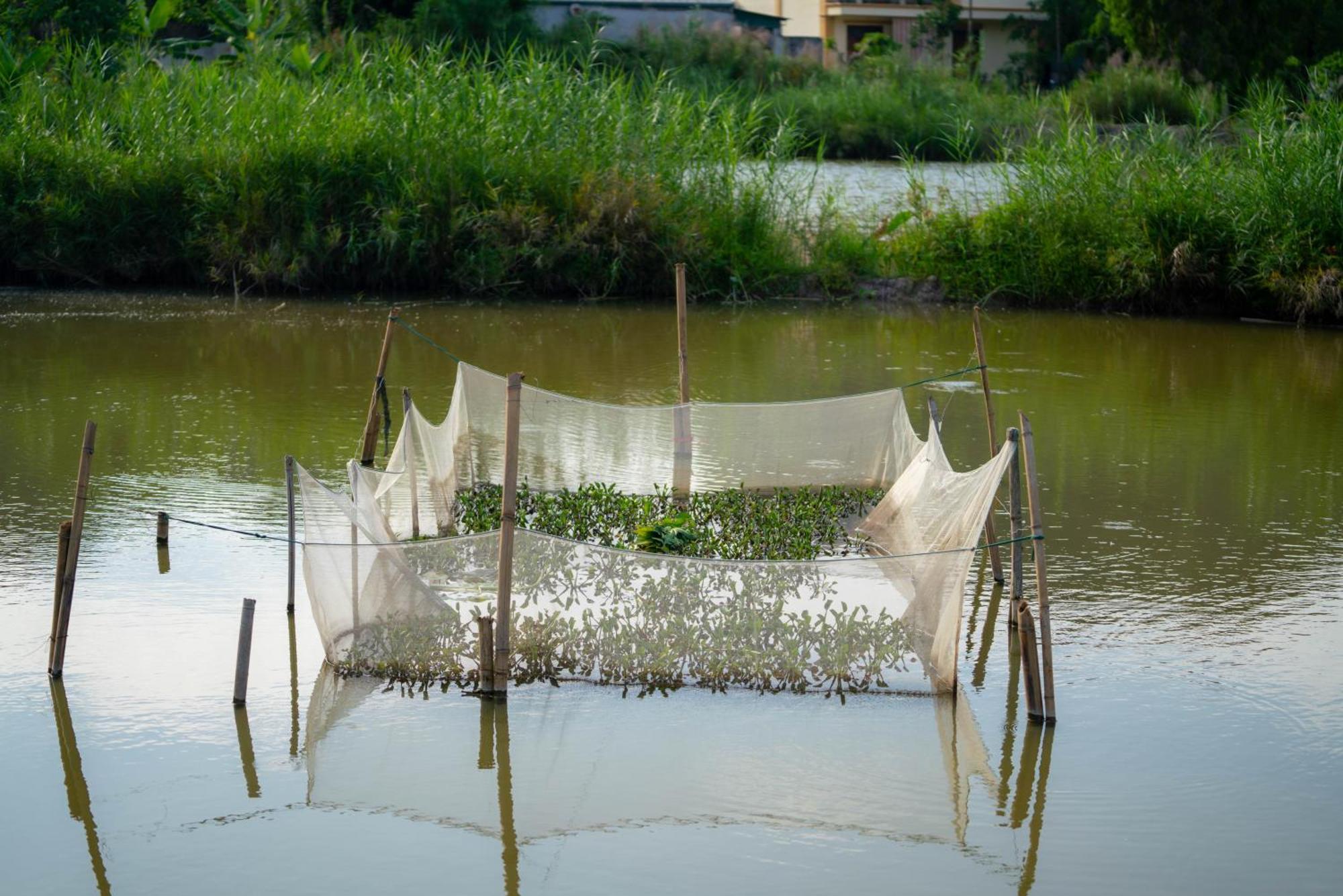 Tan Dinh Farmstay Ninh Binh Dış mekan fotoğraf